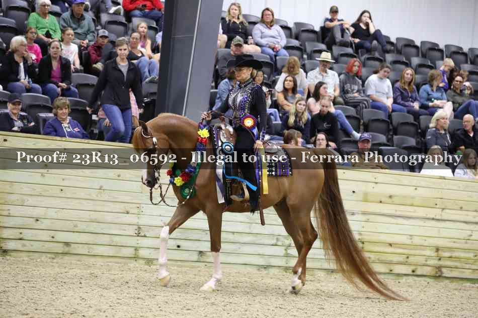 Proof 23R13_06592