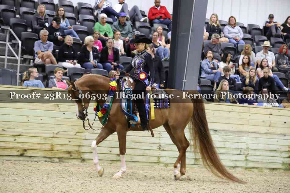 Proof 23R13_06593
