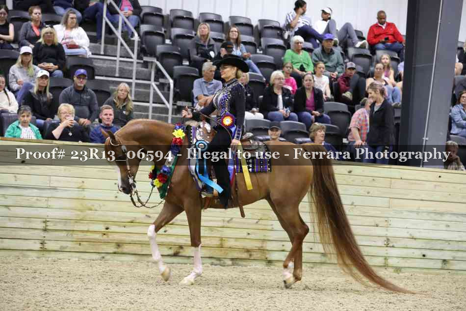 Proof 23R13_06594