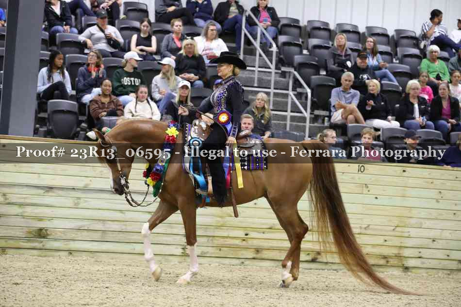 Proof 23R13_06595