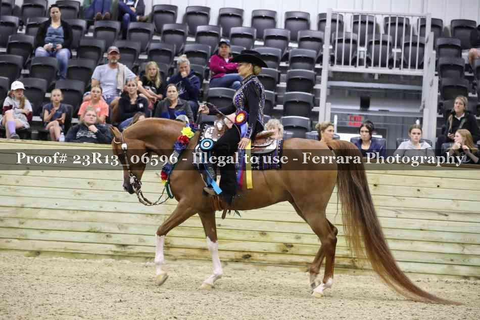 Proof 23R13_06596