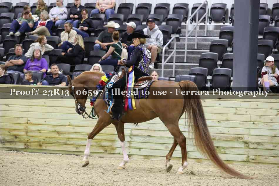 Proof 23R13_06597