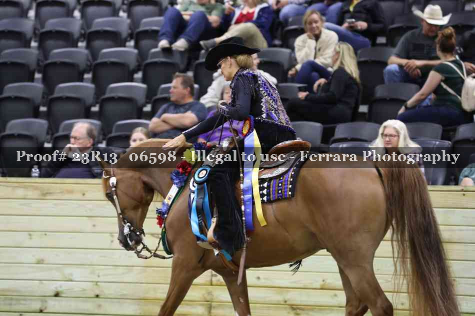 Proof 23R13_06598