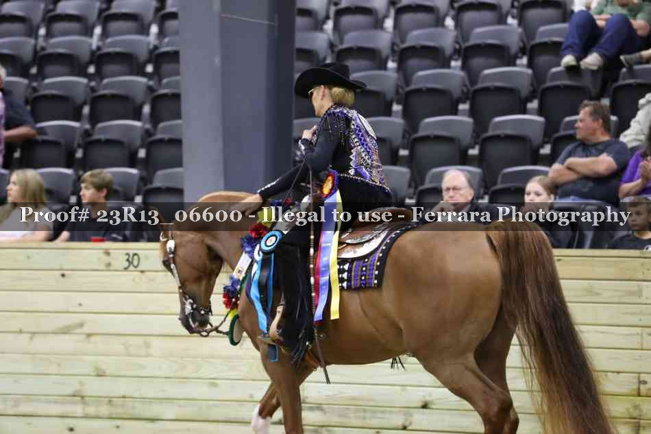 Proof 23R13_06600
