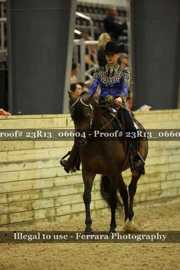 Proof 23R13_06604