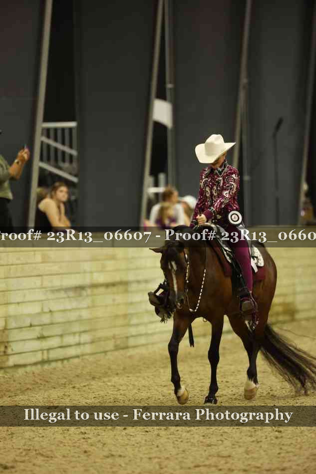 Proof 23R13_06607
