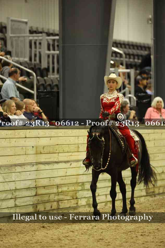 Proof 23R13_06612