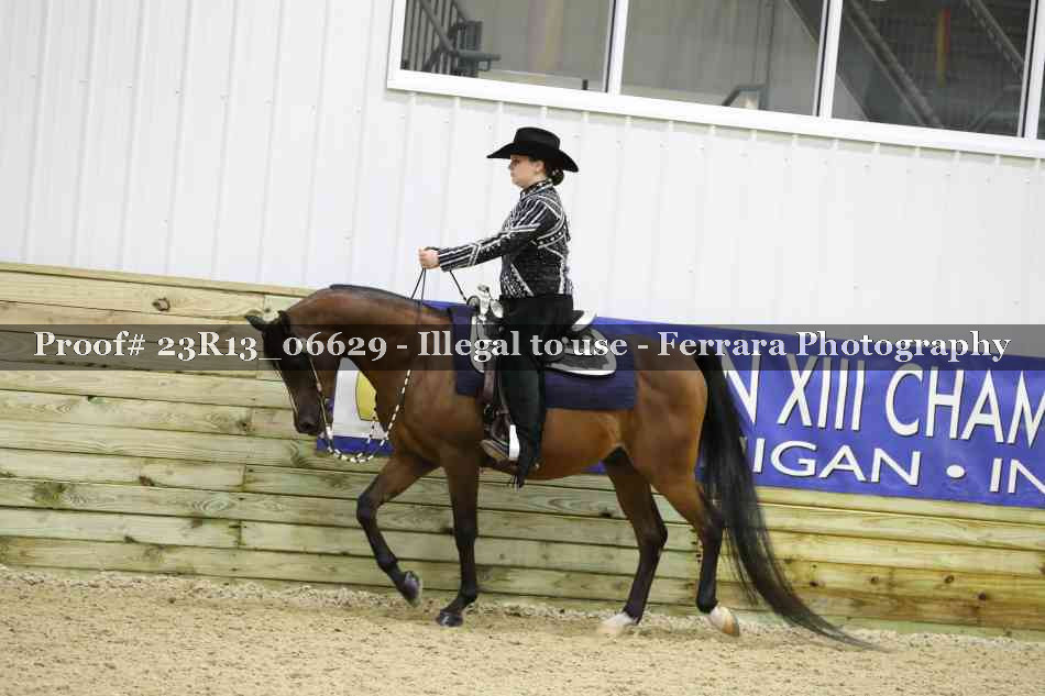 Proof 23R13_06629