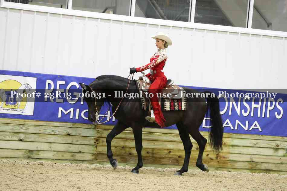Proof 23R13_06631
