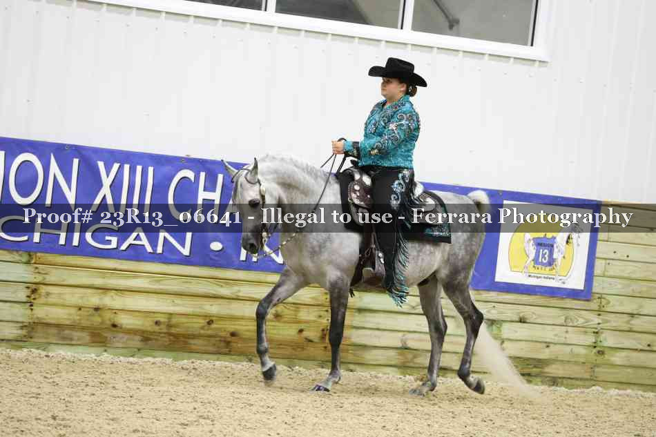 Proof 23R13_06641