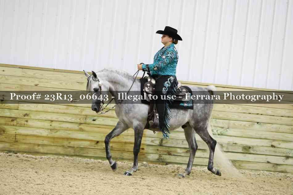 Proof 23R13_06643