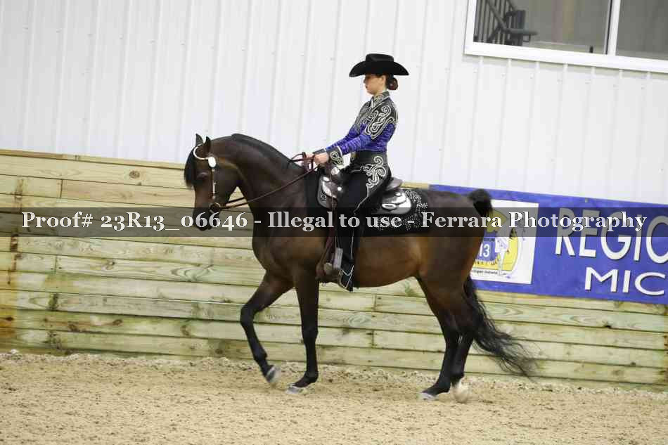 Proof 23R13_06646