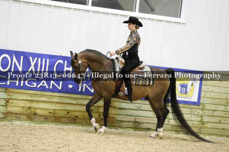 Proof 23R13_06647