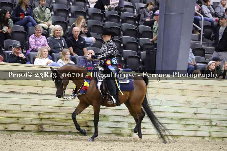 Proof 23R13_06701