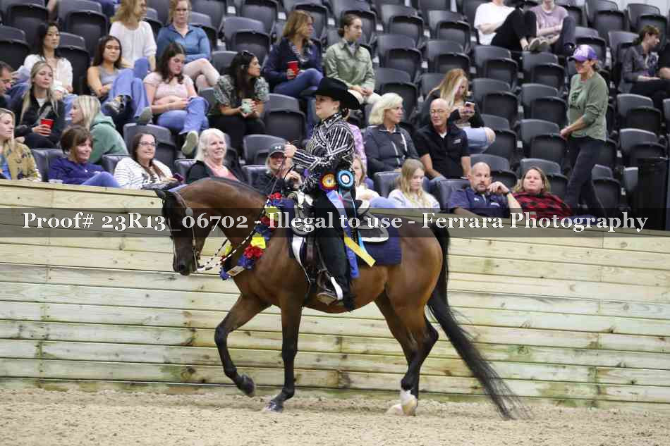 Proof 23R13_06702