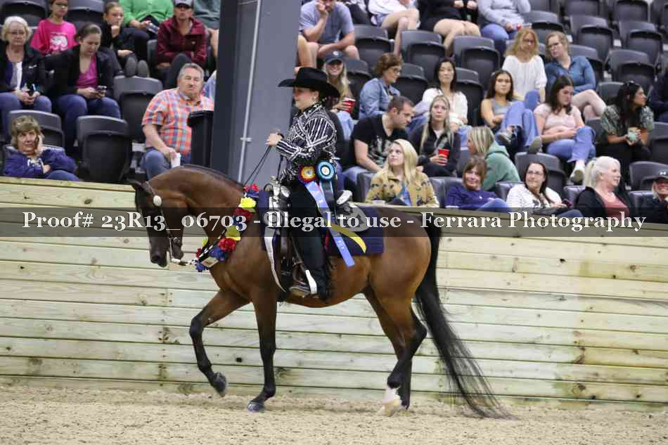 Proof 23R13_06703