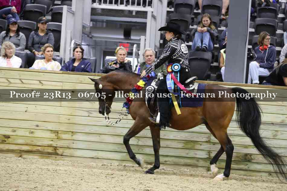 Proof 23R13_06705