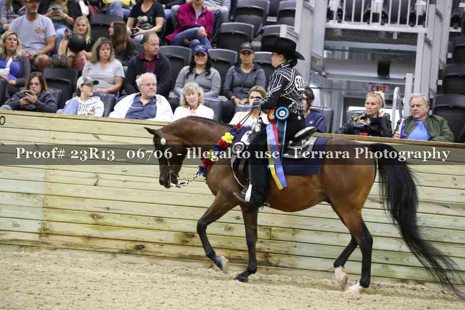 Proof 23R13_06706