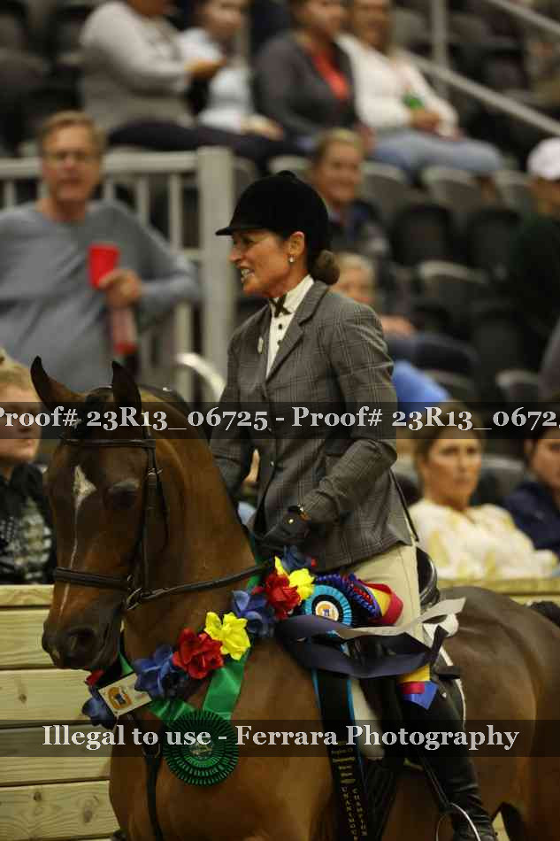 Proof 23R13_06725