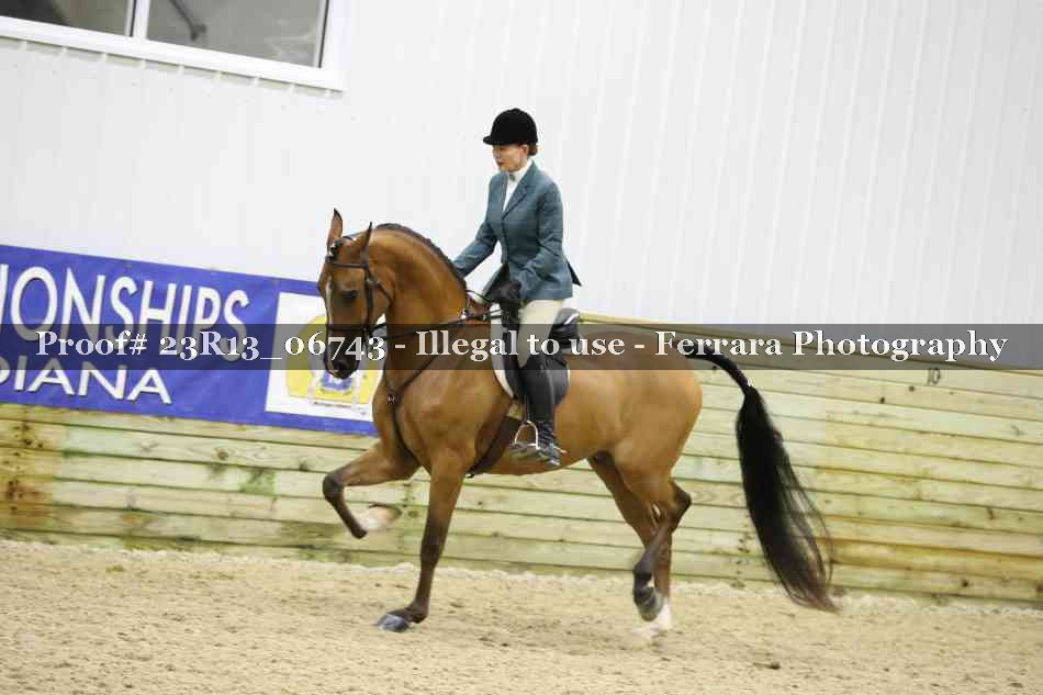Proof 23R13_06743