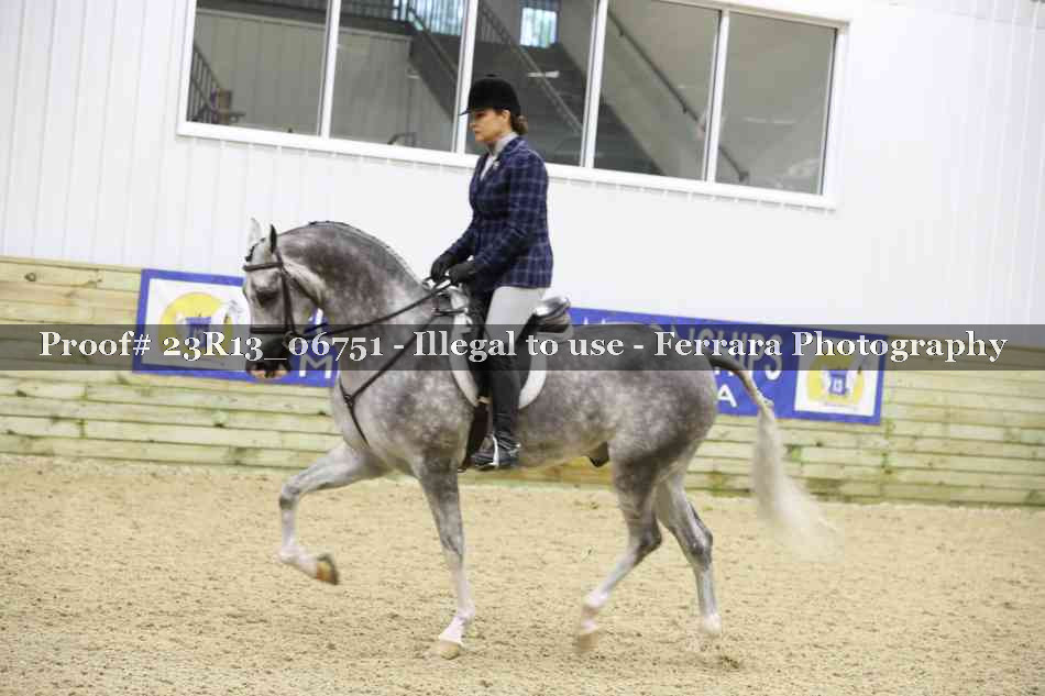 Proof 23R13_06751