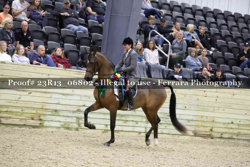 Proof 23R13_06802