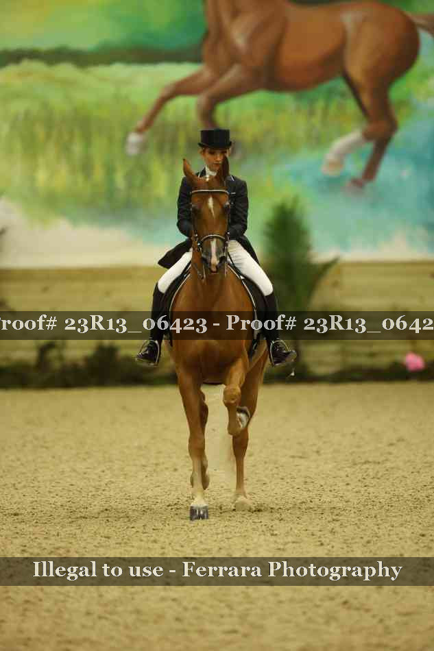 Proof 23R13_06423
