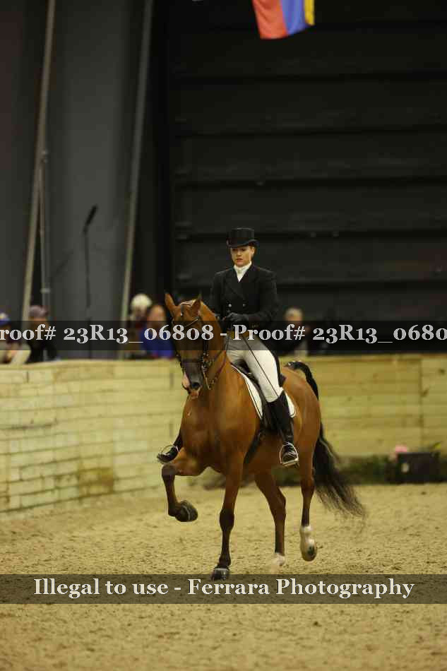 Proof 23R13_06808