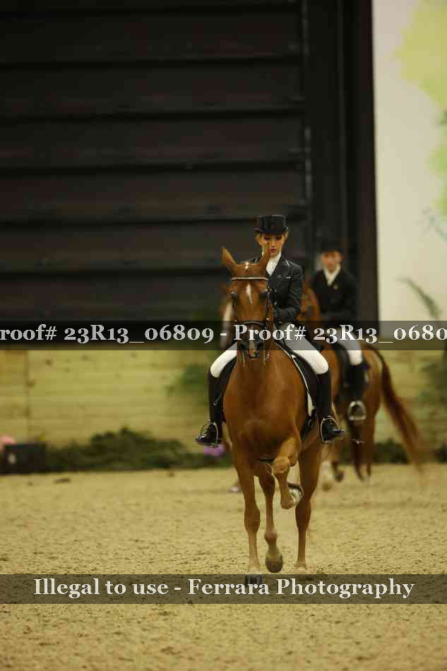 Proof 23R13_06809