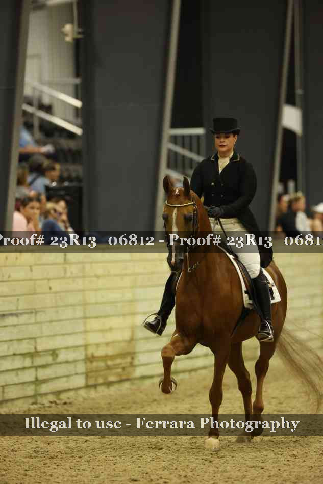 Proof 23R13_06812