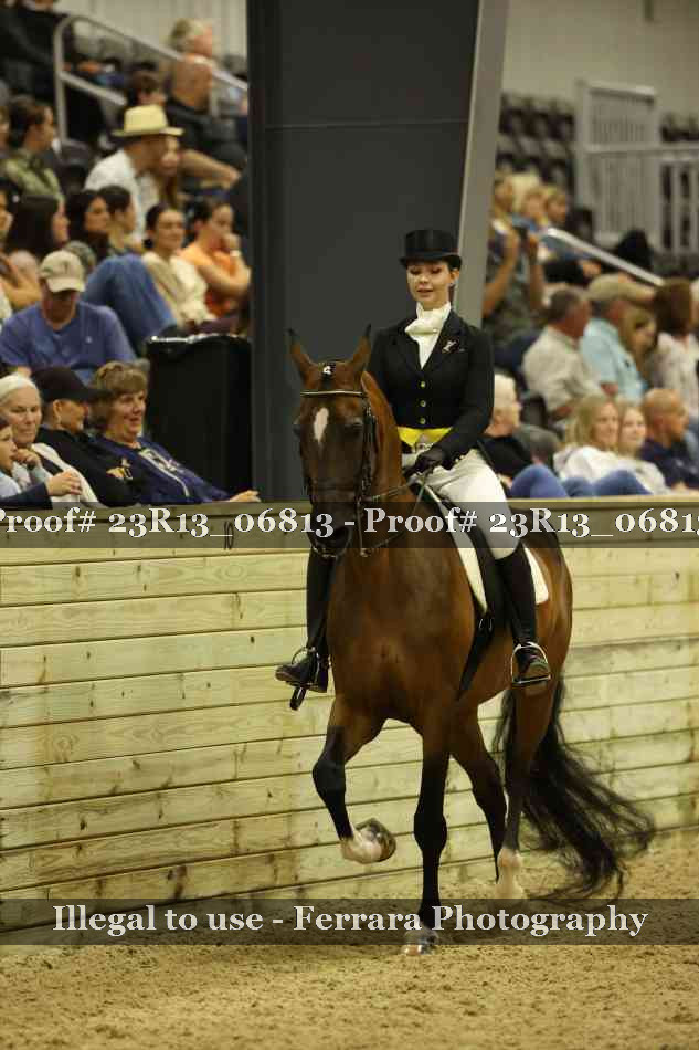Proof 23R13_06813