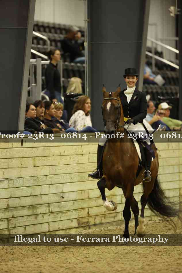 Proof 23R13_06814