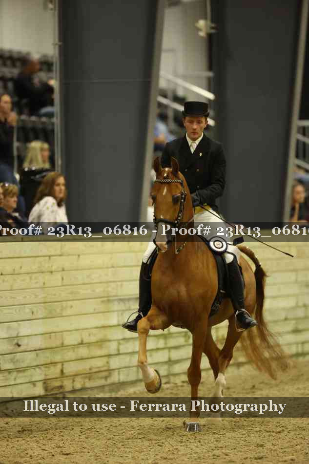 Proof 23R13_06816