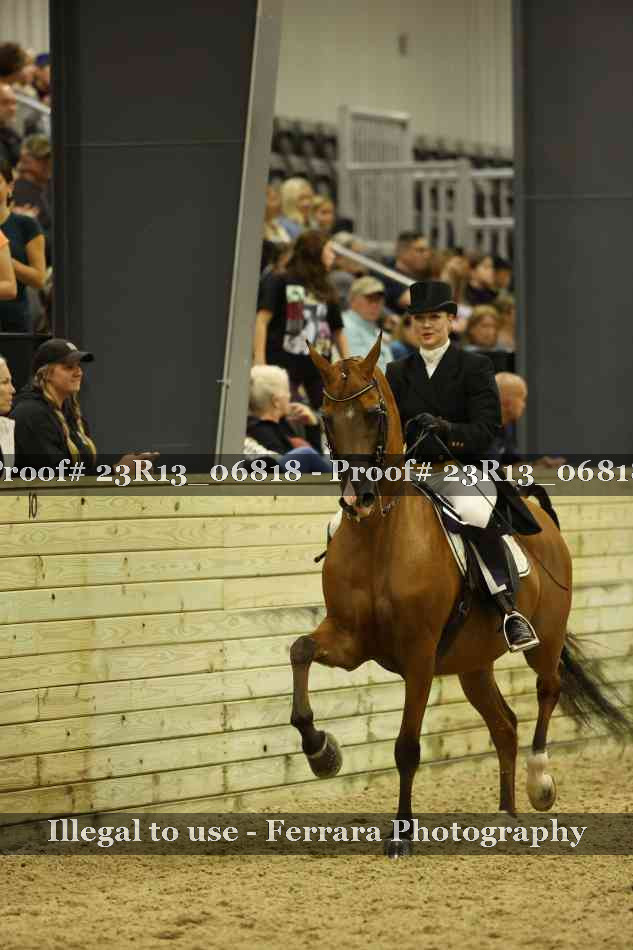 Proof 23R13_06818