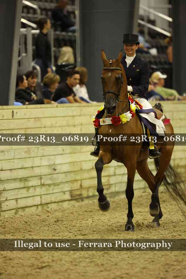 Proof 23R13_06819