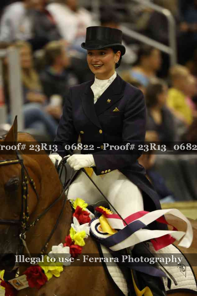 Proof 23R13_06822