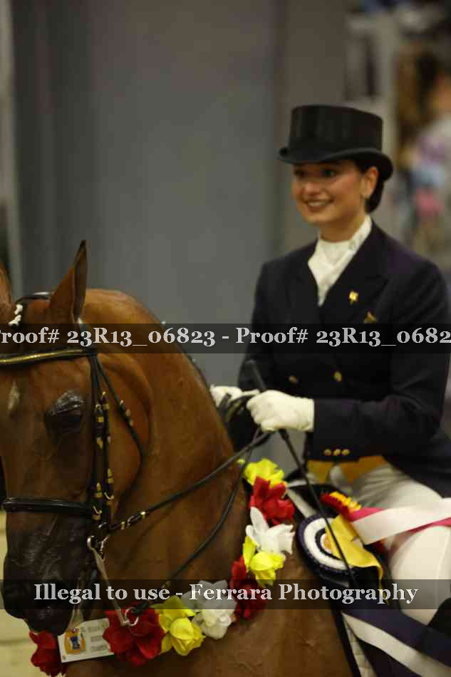 Proof 23R13_06823