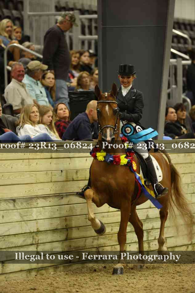 Proof 23R13_06824