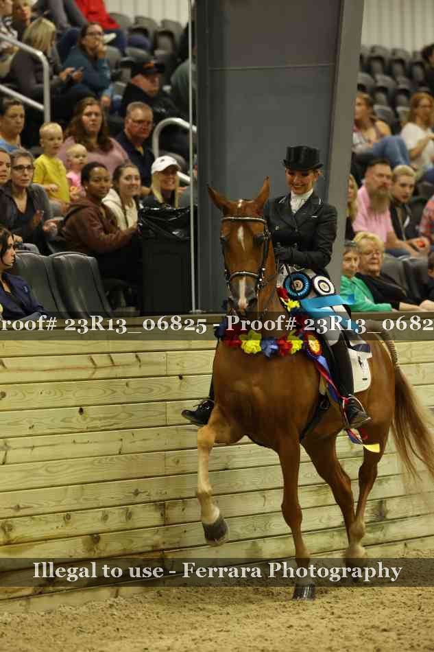 Proof 23R13_06825