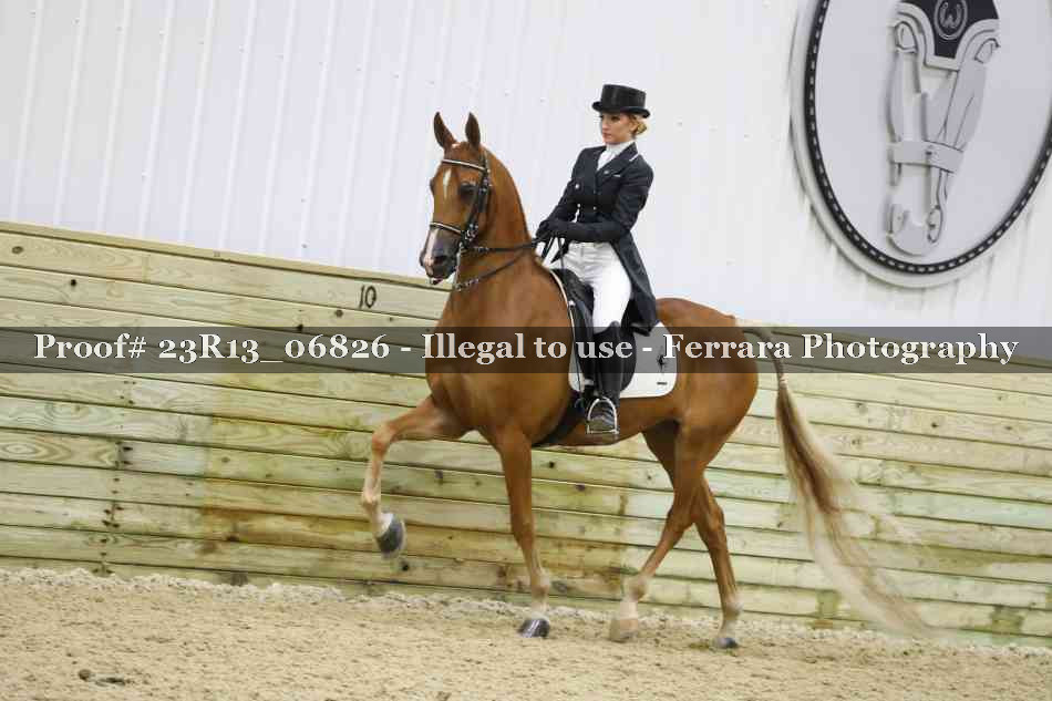 Proof 23R13_06826