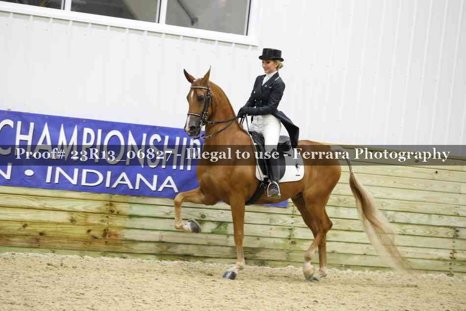 Proof 23R13_06827