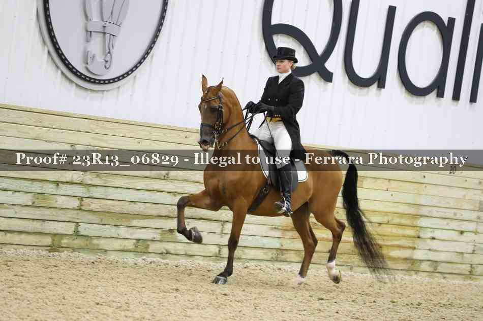 Proof 23R13_06829