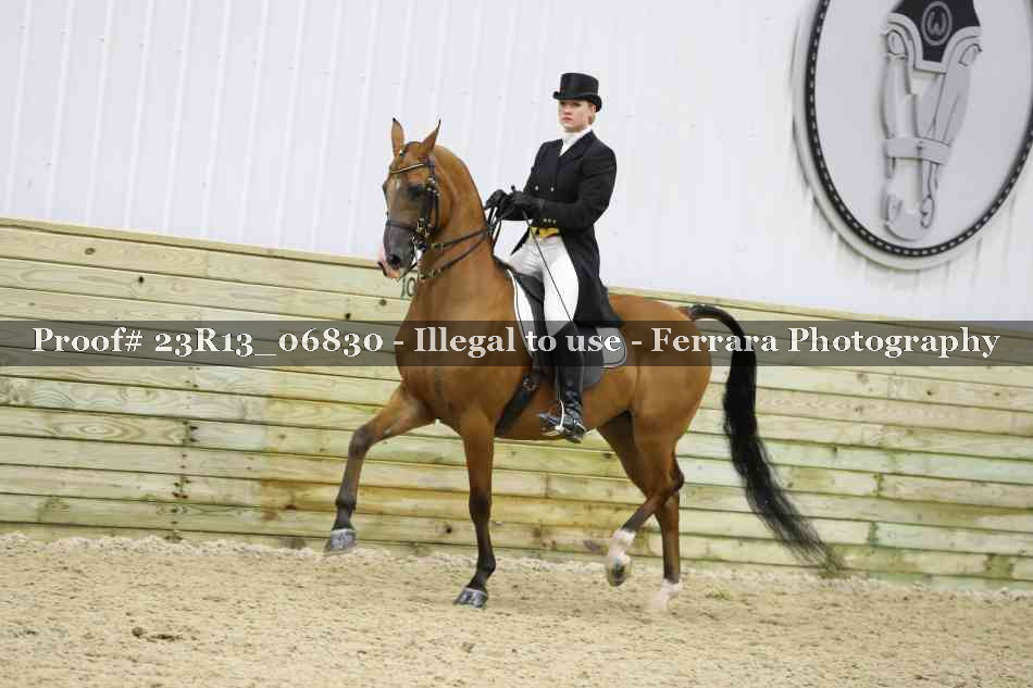 Proof 23R13_06830