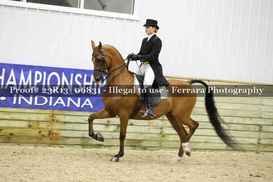 Proof 23R13_06831