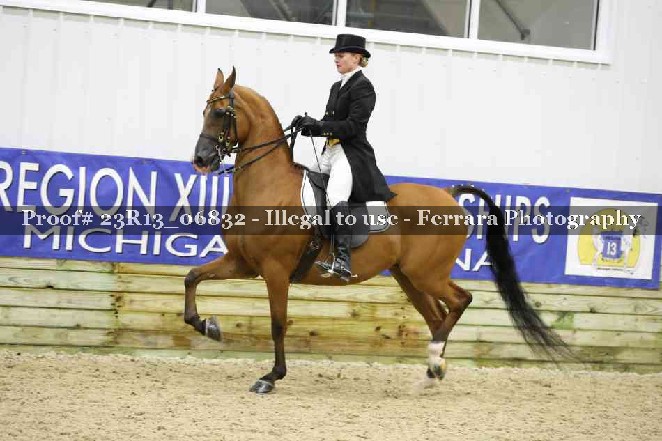 Proof 23R13_06832