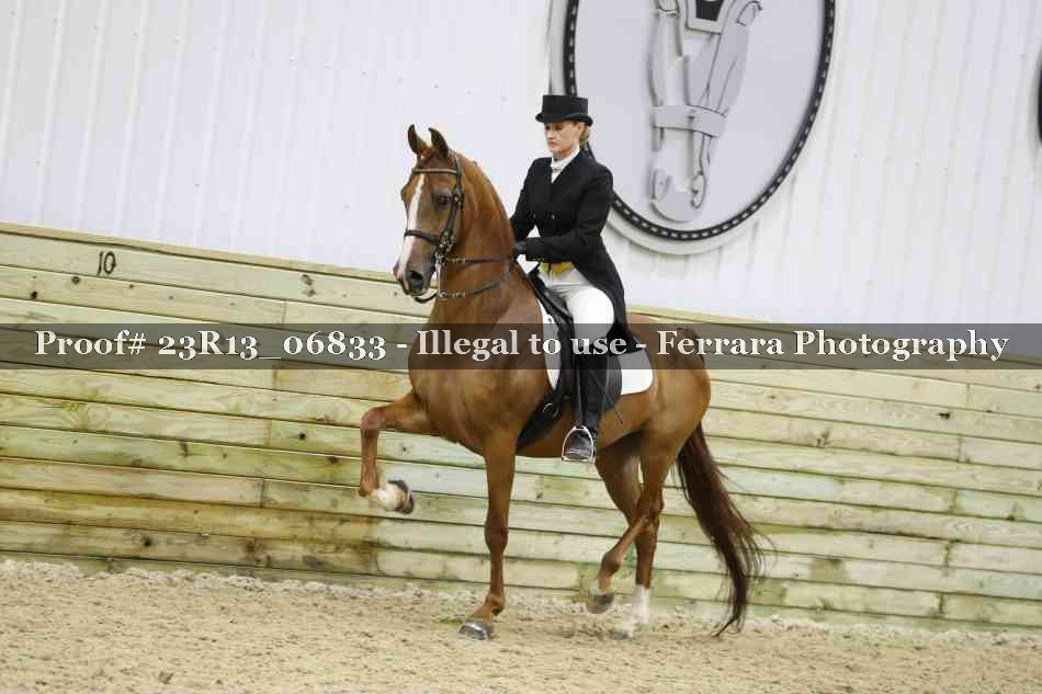 Proof 23R13_06833