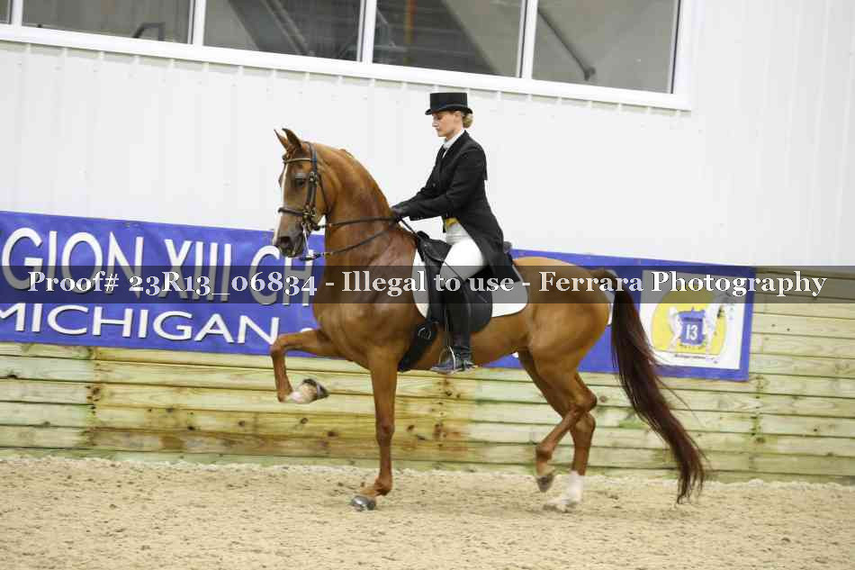 Proof 23R13_06834