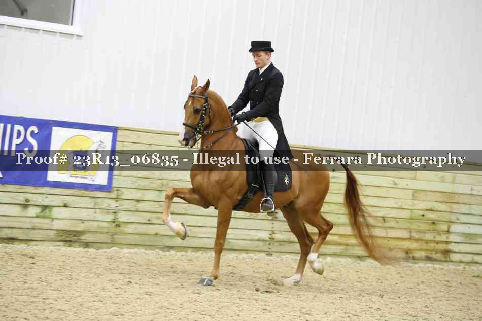 Proof 23R13_06835
