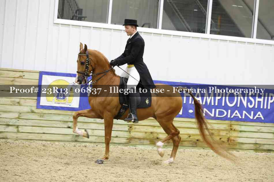 Proof 23R13_06837