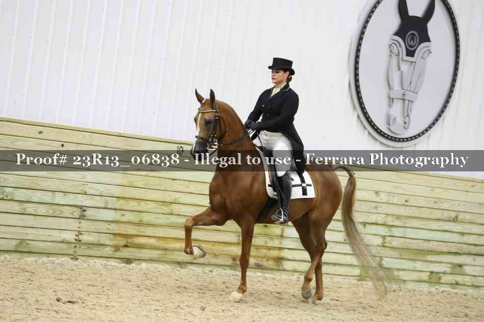Proof 23R13_06838